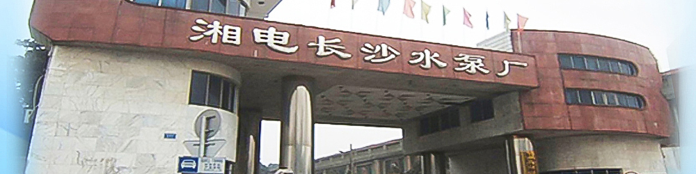 v站足球
